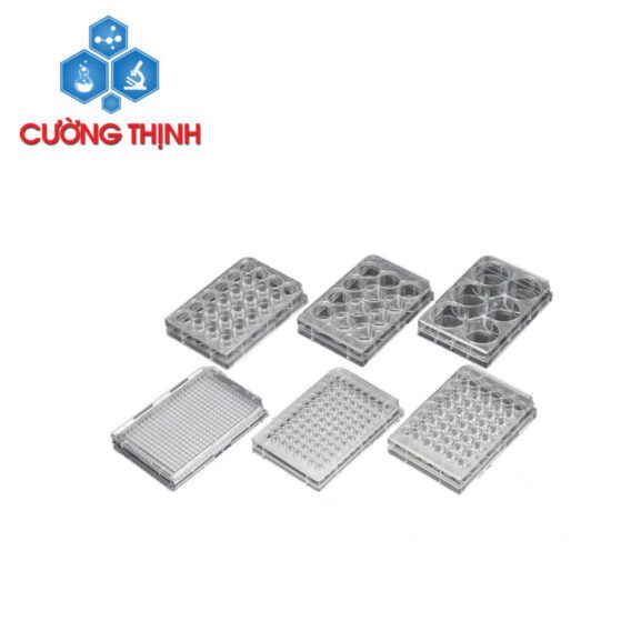 Đĩa (phiến) nuôi cấy tế bào (SPL - Hàn Quốc)