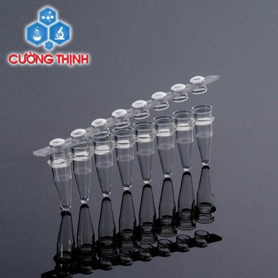 Ống PCR 8-strip 0.2ml nắp vòm (Biologix - Mỹ)